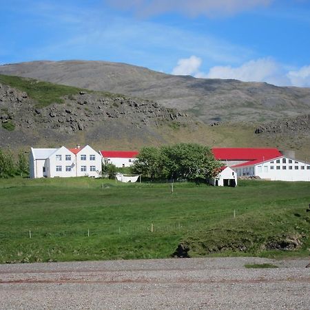 Brekka I Loni Farm Stay Stafafell Экстерьер фото